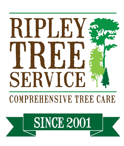 Ripley Tree Service Logo