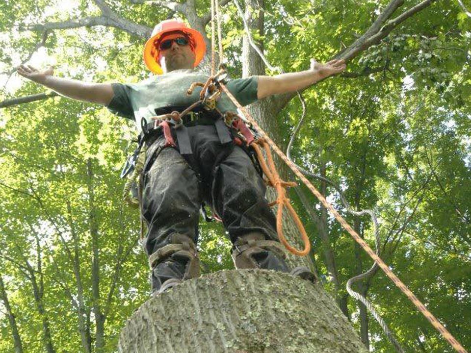 Mike Ripley of Ripley Tree Service