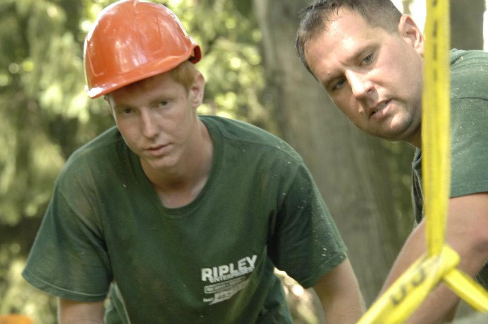 personalized approach to tree service